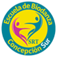 Biodanza Concepción Sur Logo